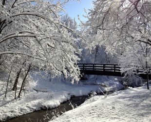 Snow covered trees, bridge over open stream of water in cold winter weather.
