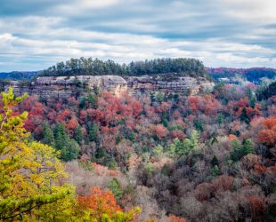 Scenic view of Ravens Rock from the Auxier Ridge Trail in Red River Gorge, Kentucky