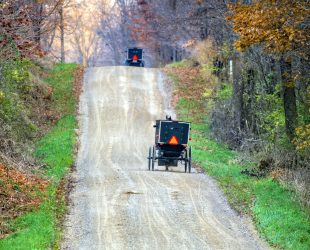 Two buggies on a gravel road in late autumn near Shipshewana, Indiana.