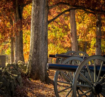 Gettysburg Cannons Among Autumn Oaks cannons at Gettysburg, lined up along stone fence, with oaks turning gold and brown