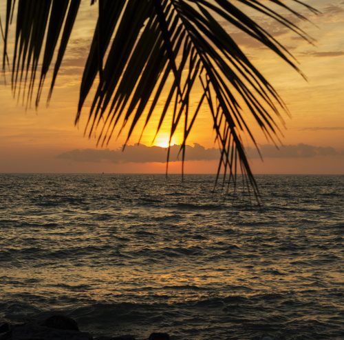 Amazing Key West Sunset, Florida